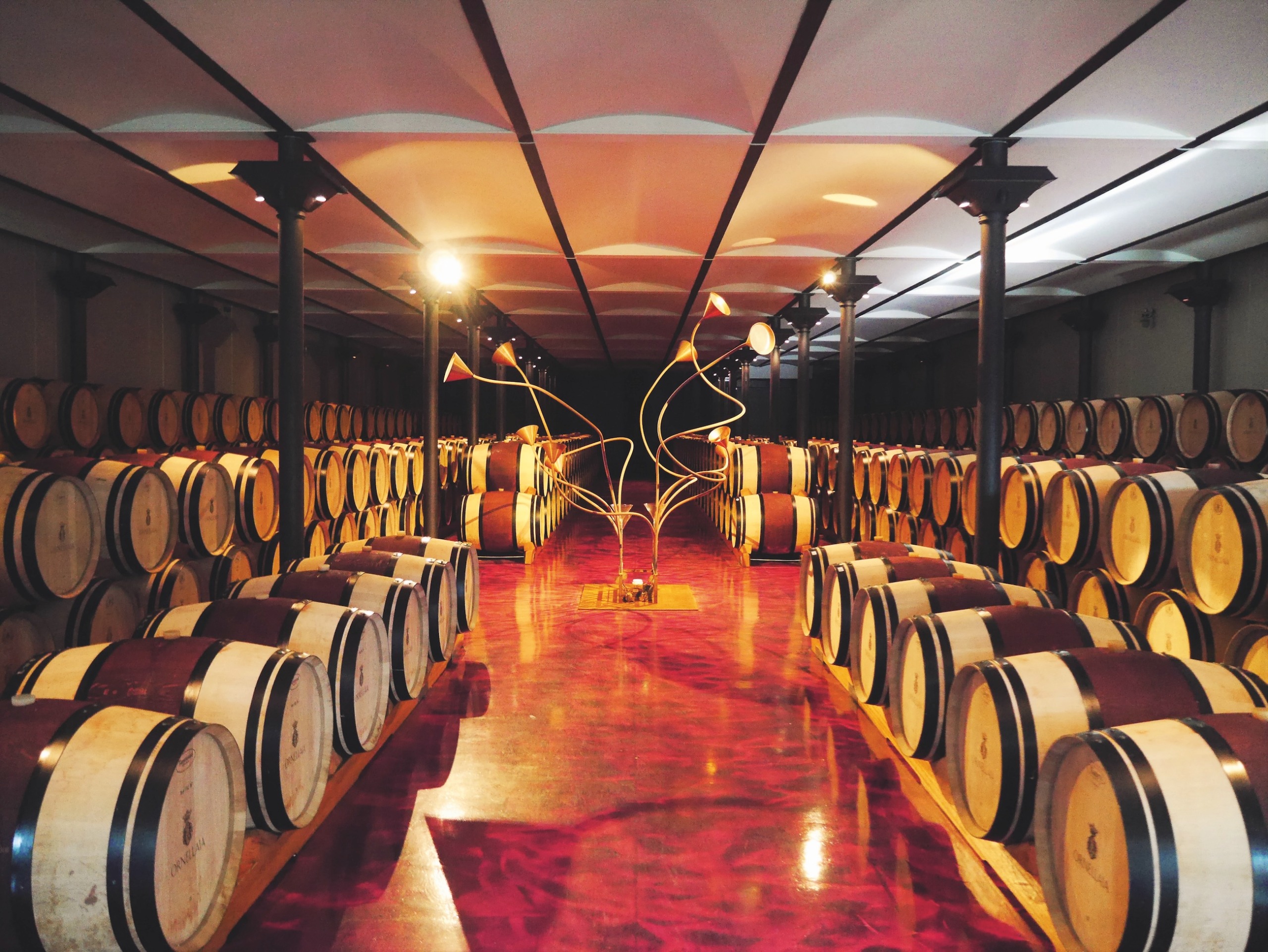 Ornellaia barrel room