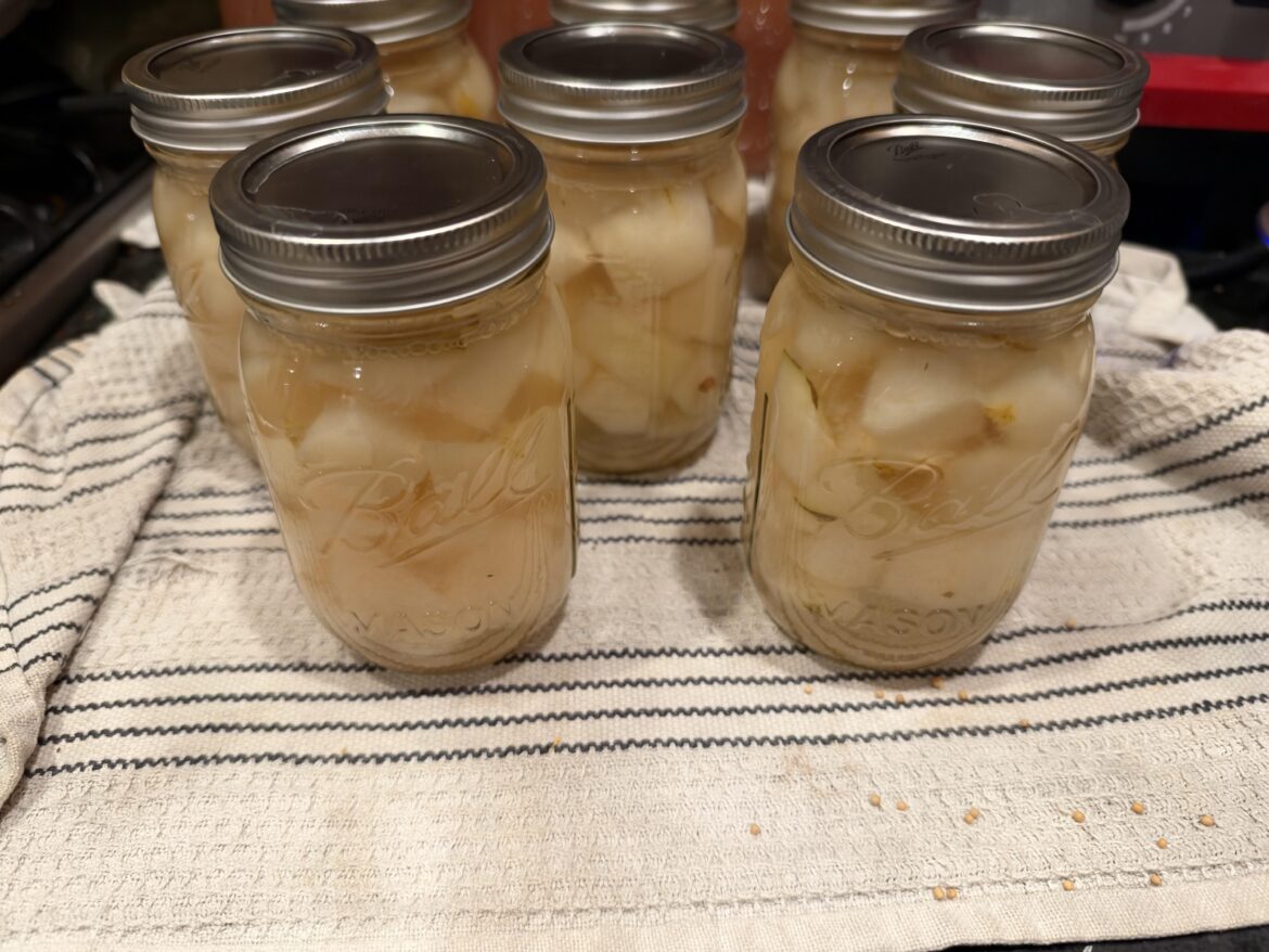 Back at it. Anjou Pears in a light syrup. Waterbath